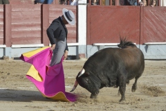 2023-10-21-Festival-T.-Chinchon-8355