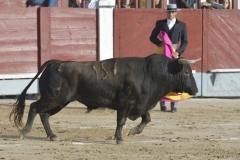 2023-10-21-Festival-T.-Chinchon-8359