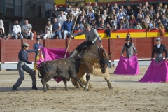 2023-10-21-Festival-T.-Chinchon-8377