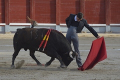 2023-10-21-Festival-T.-Chinchon-8425