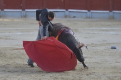 2023-10-21-Festival-T.-Chinchon-8450