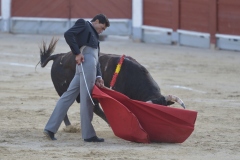 2023-10-21-Festival-T.-Chinchon-8465