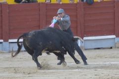 2023-10-21-Festival-T.-Chinchon-8644