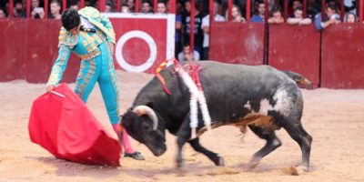 Derechazo del local Alfonso Ortiz hoy en Tielmes